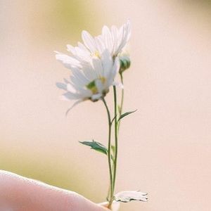 Meet your Posher, Jack